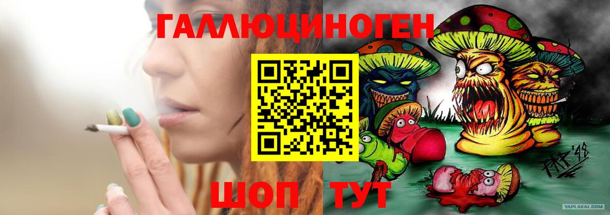 Псилоцибиновые грибы Cubensis  Вход с VPN  Батайск 
